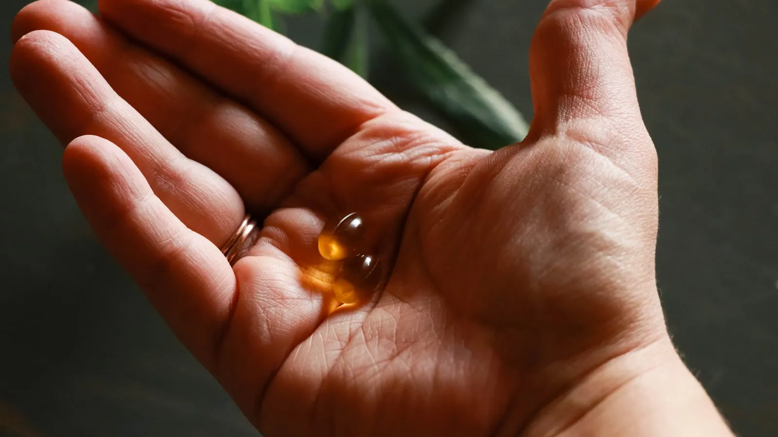 Ashwagandha ervaringen: wat gebruikers melden en wat de studies maten