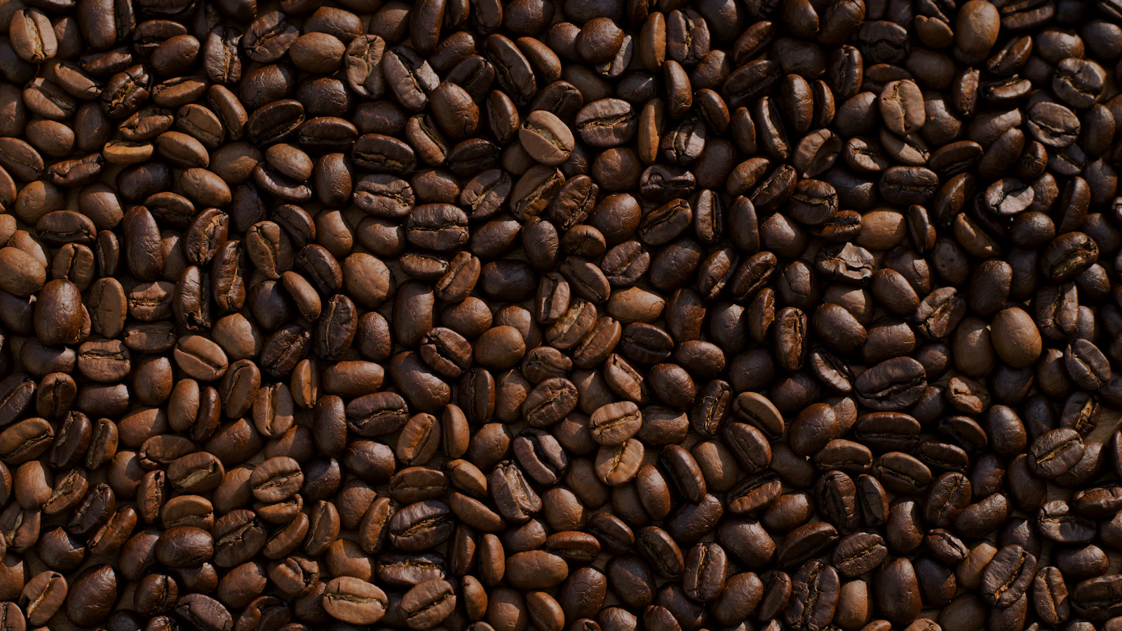 Fresh roasted coffee beans, the natural source of caffeine.
