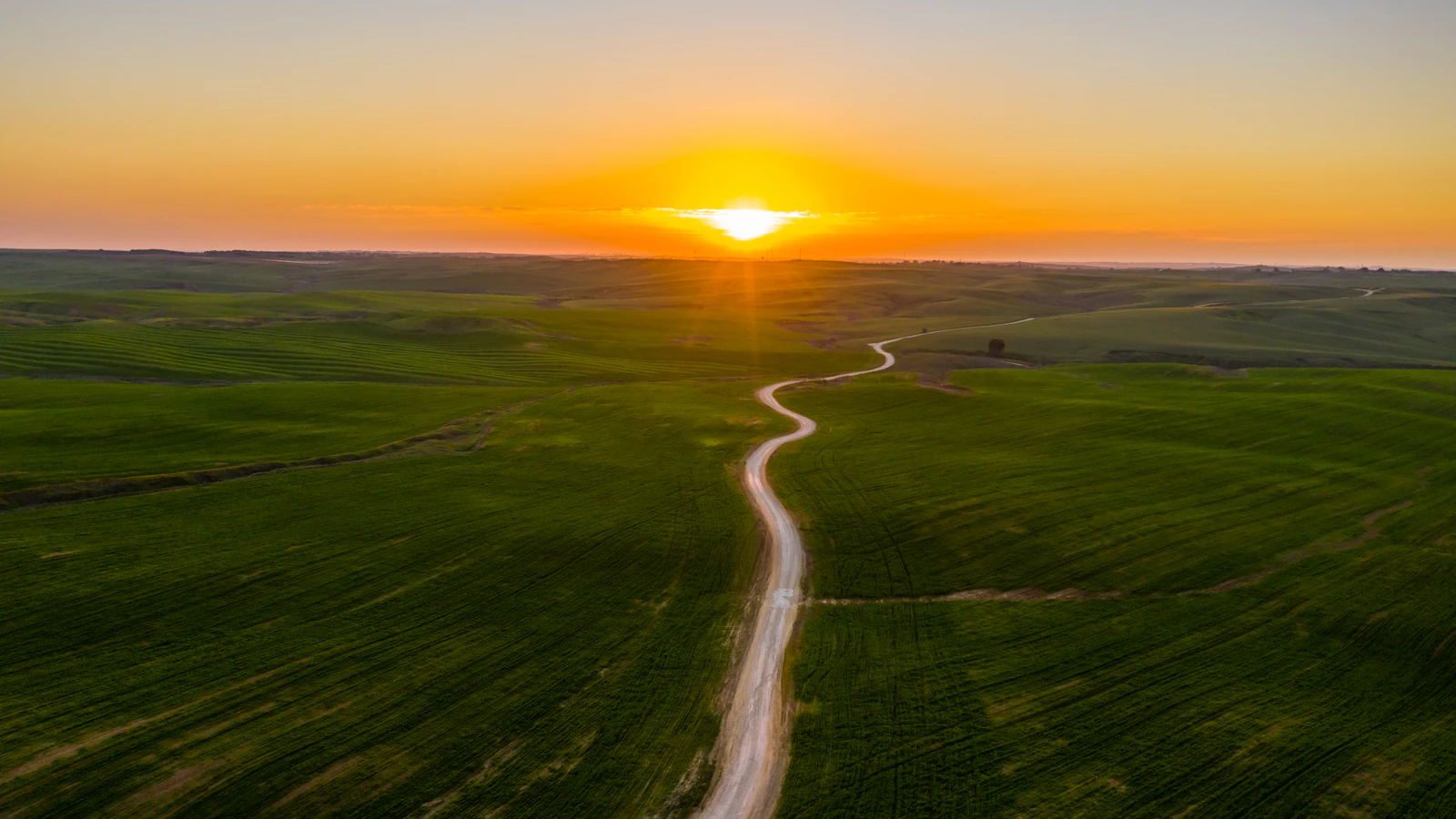 Grasveld bij zonsondergang voor een ochtendloop.