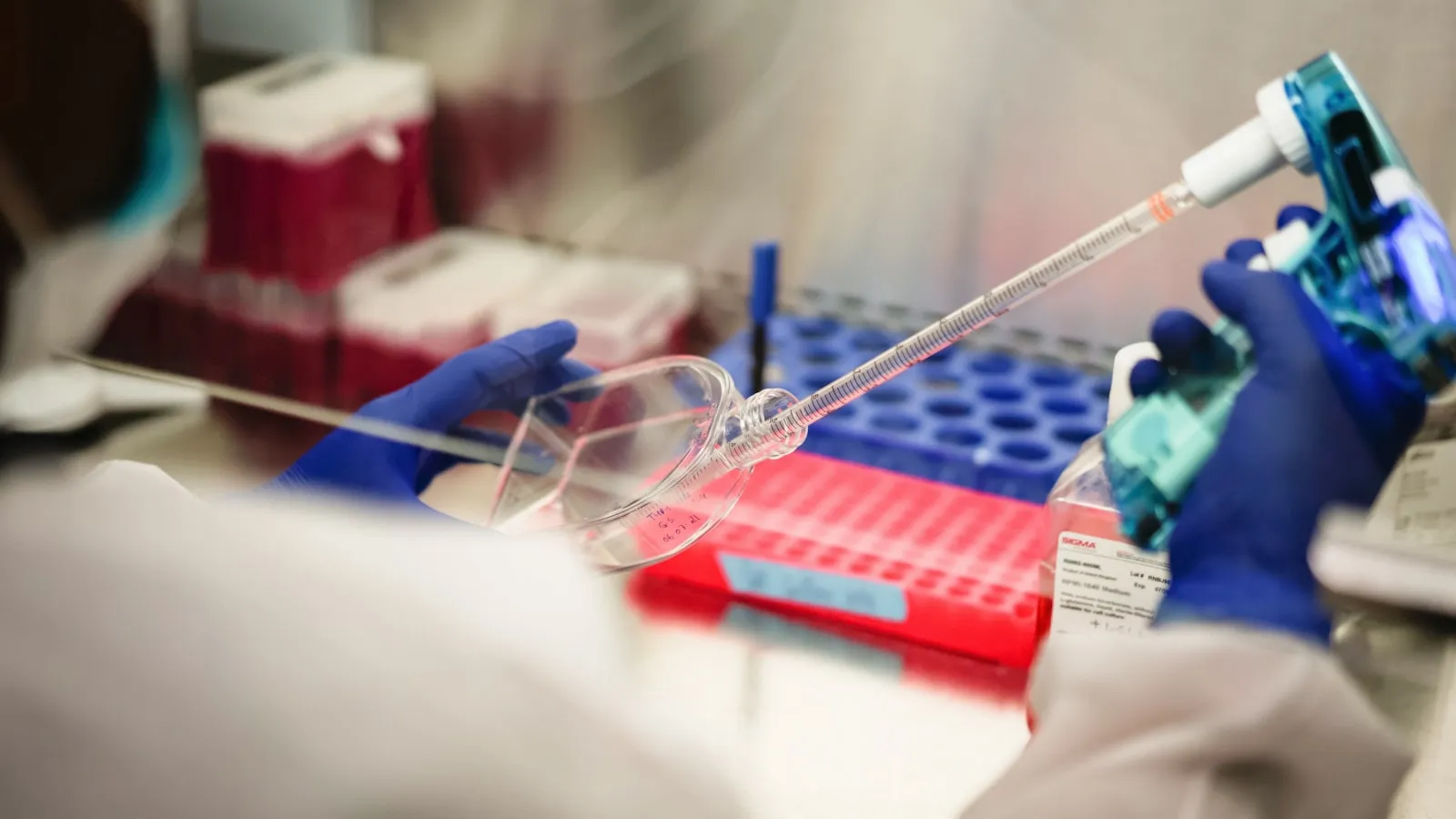 Laborant houdt een pipet boven een rek met bloedbuisjes.