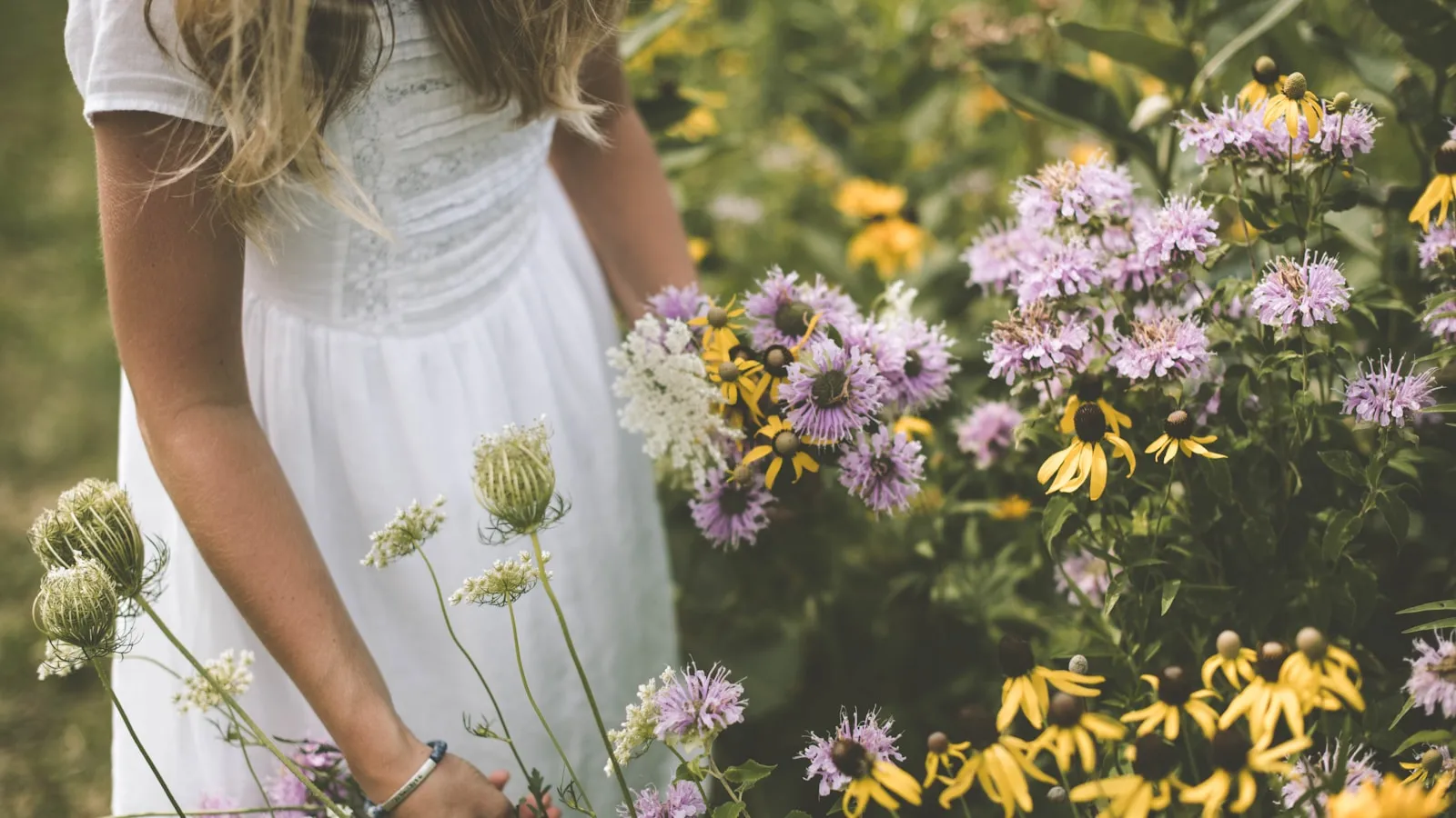 Vrouw in een witte jurk plukt bloemen in een veld met wilde bloei.