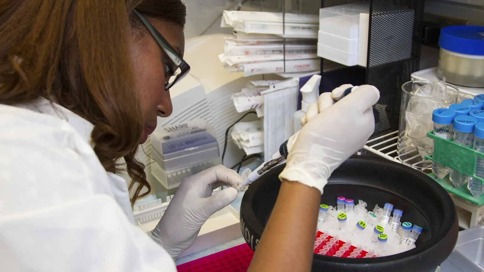Laborante met handschoenen pipetteert een monster in kleine buisjes op ijs in een laboratorium.