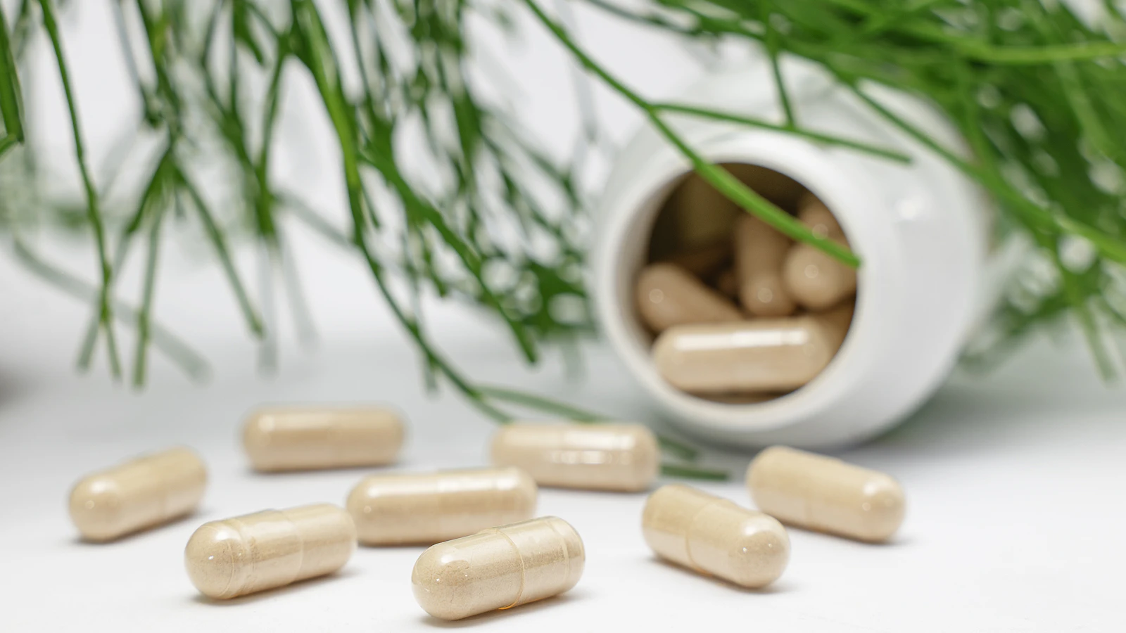 Beige capsules die uit een wit potje rollen, naast groene dennennaalden.